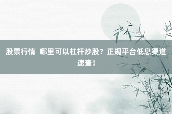 股票行情  哪里可以杠杆炒股？正规平台低息渠道速查！