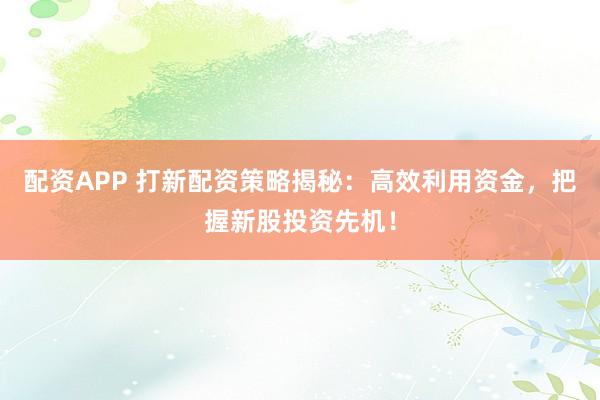 配资APP 打新配资策略揭秘：高效利用资金，把握新股投资先机！