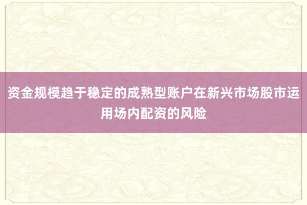 资金规模趋于稳定的成熟型账户在新兴市场股市运用场内配资的风险