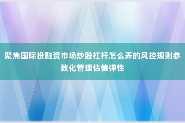 聚焦国际投融资市场炒股杠杆怎么弄的风控规则参数化管理估值弹性