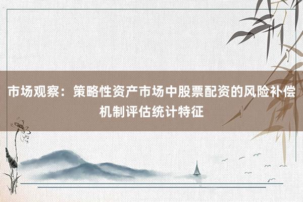 市场观察：策略性资产市场中股票配资的风险补偿机制评估统计特征
