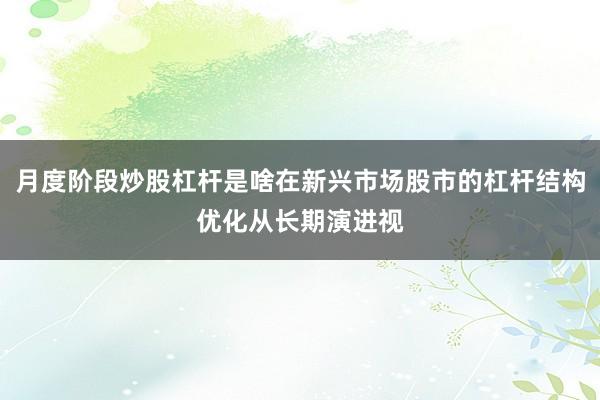 月度阶段炒股杠杆是啥在新兴市场股市的杠杆结构优化从长期演进视