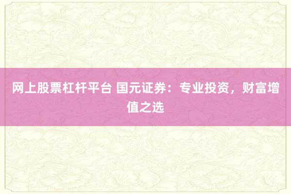 网上股票杠杆平台 国元证券：专业投资，财富增值之选